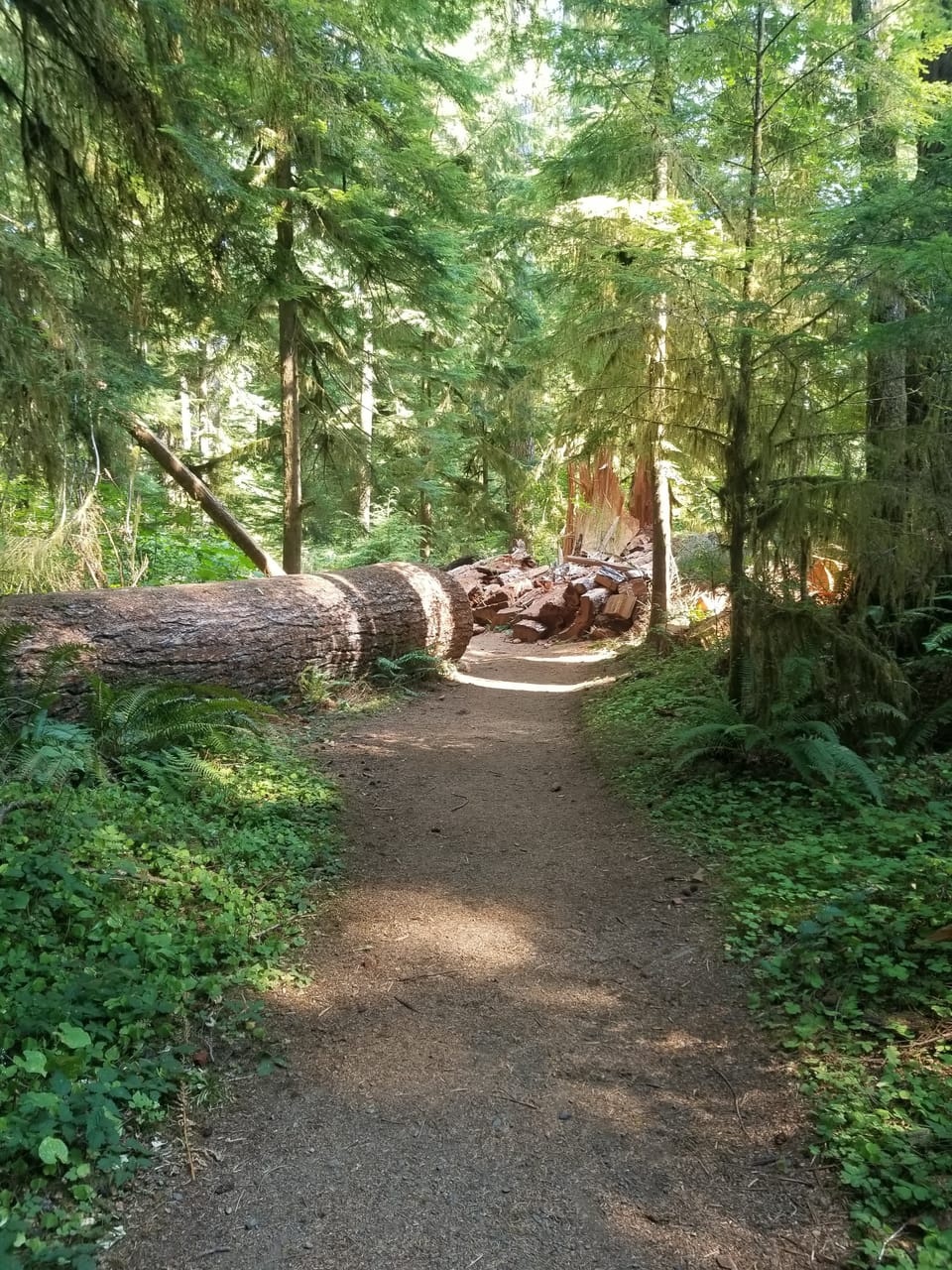 From Hidden To Healed